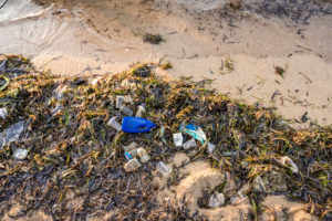 Washed-up plastic and plastic residues on the beach at sunrise, Pantai Sanur, Denpasar, Bali Island, Indonesia, Asia Washed-up plastic and plastic residues on the beach at sunrise, Pantai Sanur, Denpasar, Bali Island, Indonesia, Asia